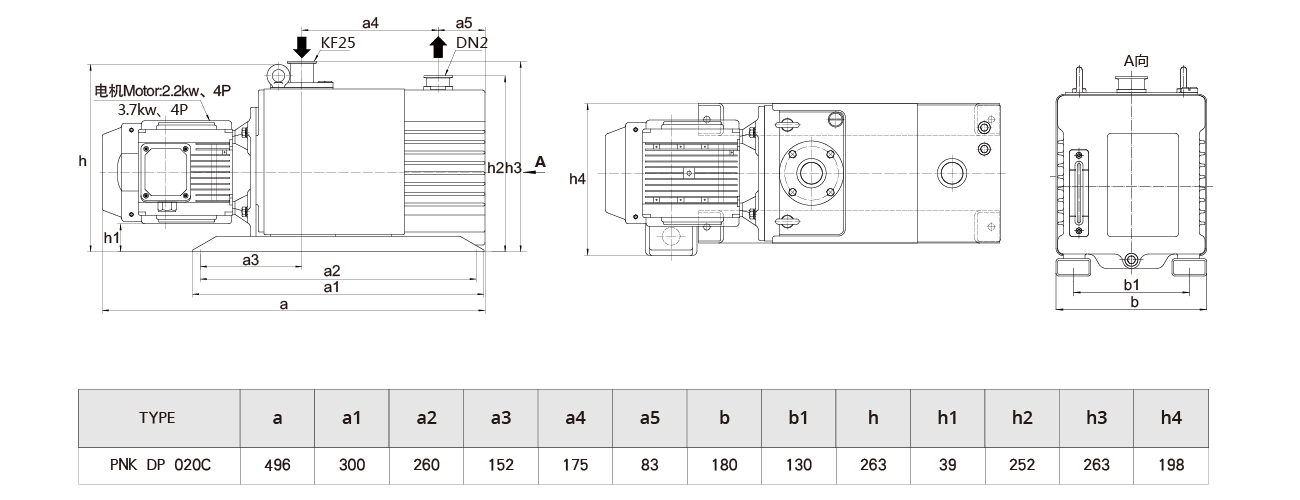 PNK DP 020C雙級旋片真空泵 PNK DP 020C雙級旋片真空泵