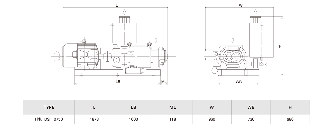 PNK DSP 0750螺(luó)杆真空泵 PNK DSP 0750螺杆(gǎn)真空泵