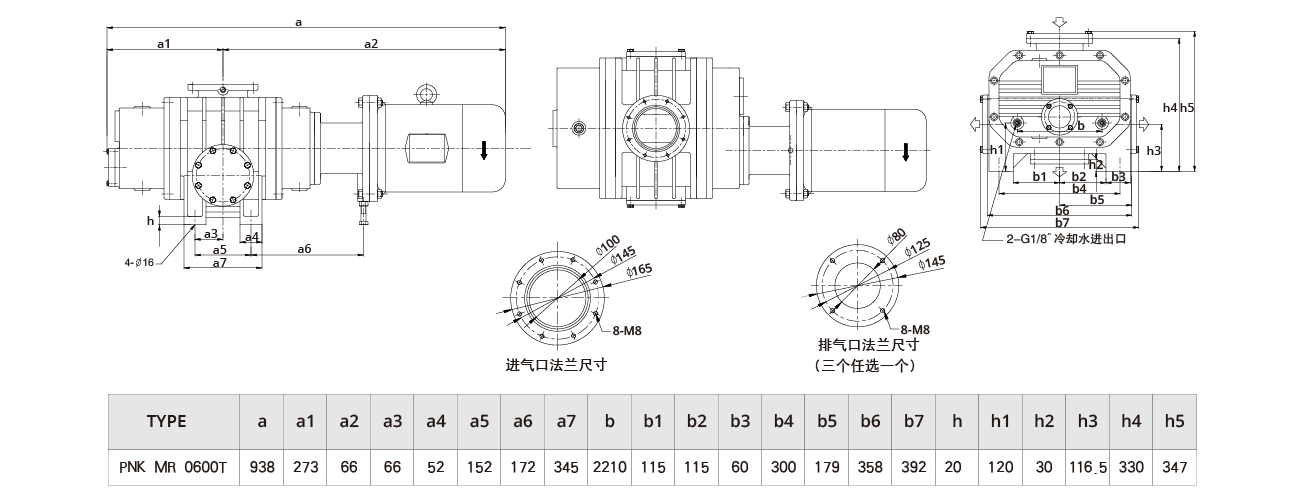 PNK MR 0600T羅茨(cí)真空(kōng)泵 PNK MR 0600T羅茨真空泵