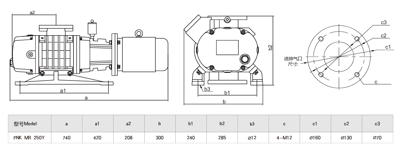 PNK MR 250Y羅茨（cí）真空泵