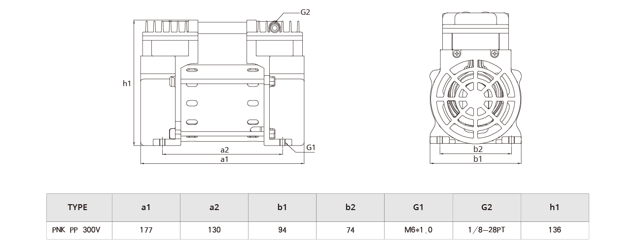 PNK PP 300V活塞真(zhēn)空泵.png PNK PP 300V活塞真空泵.png