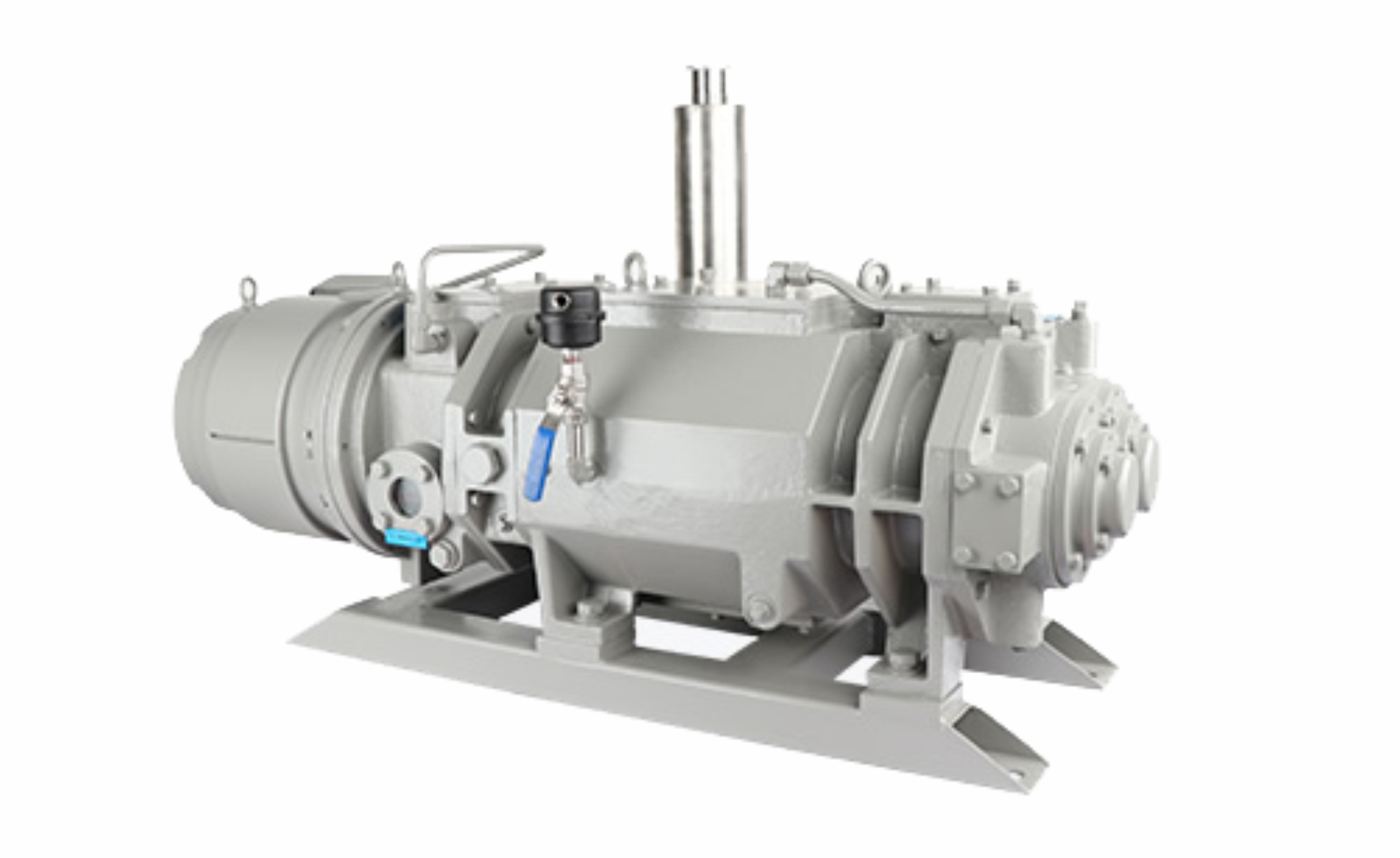 PNK DSP 0100 Screw vacuum pumps